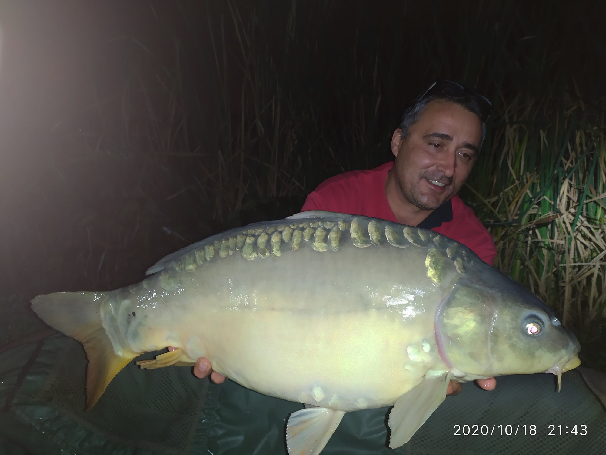 SALASCO 18 - 19 octombrie 2020 - IMG20201018230643.jpg